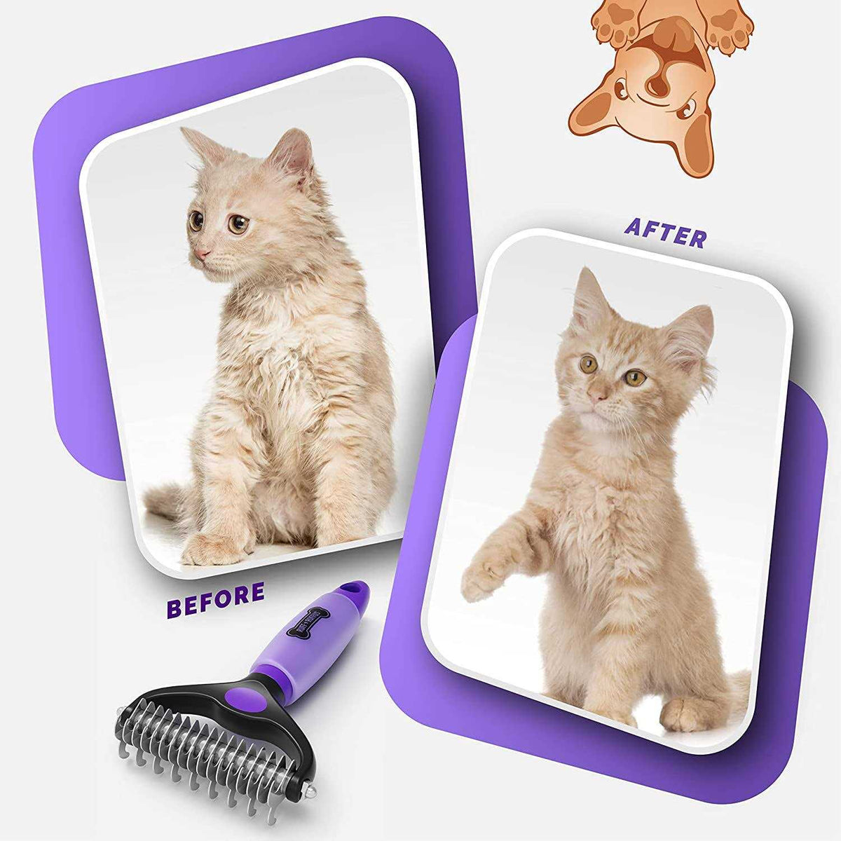 Grooming Kit for Cats and Dogs W988