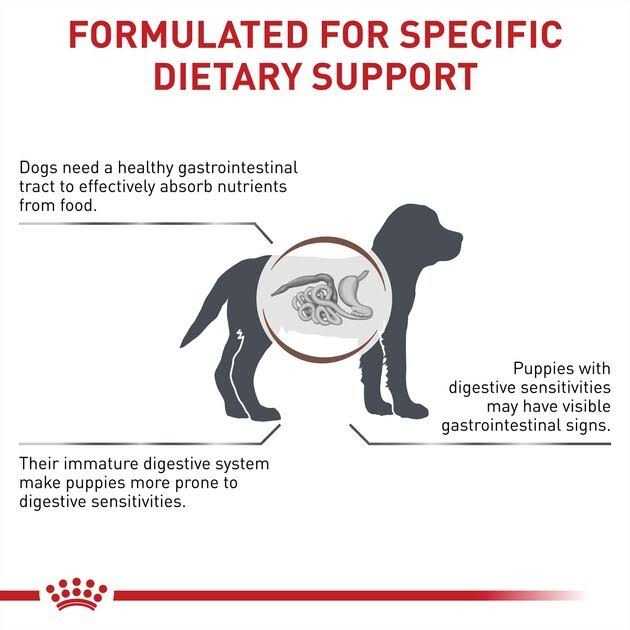 Canned Dog Food B114