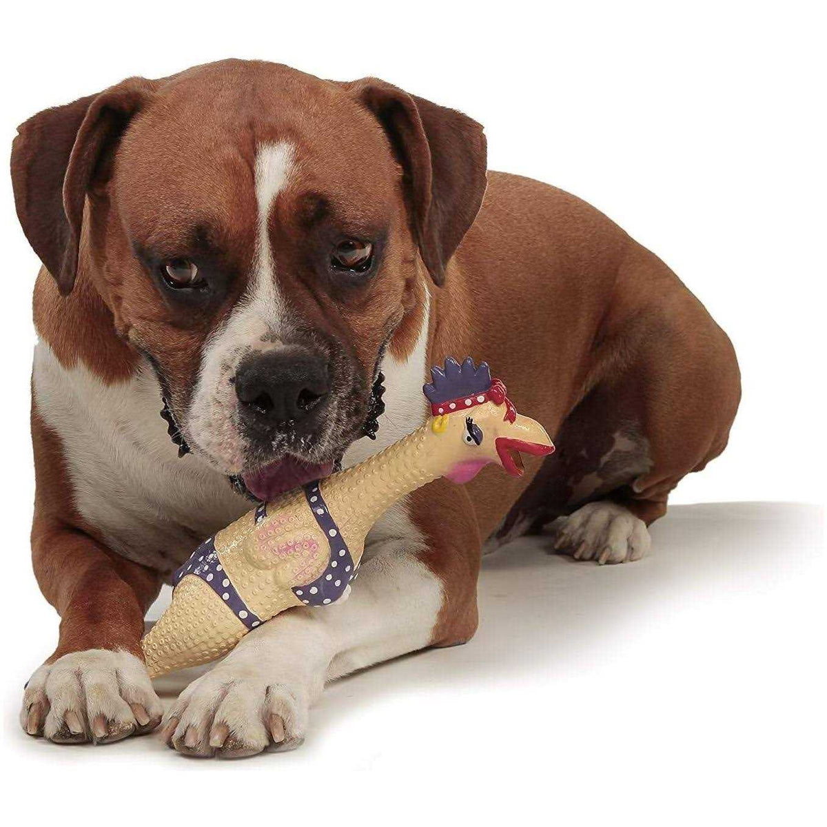 Chicken Dog Toy Z65586