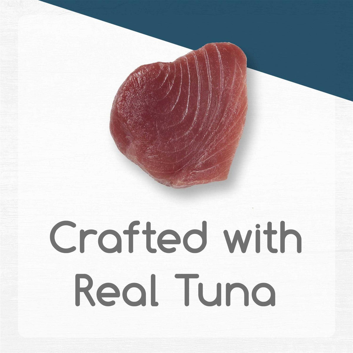 Tuna Recipe in Gravy Wet Cat Food X812310