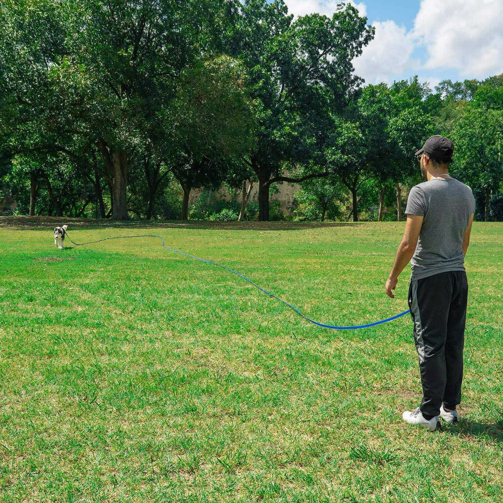 Dog Training Leash C45077