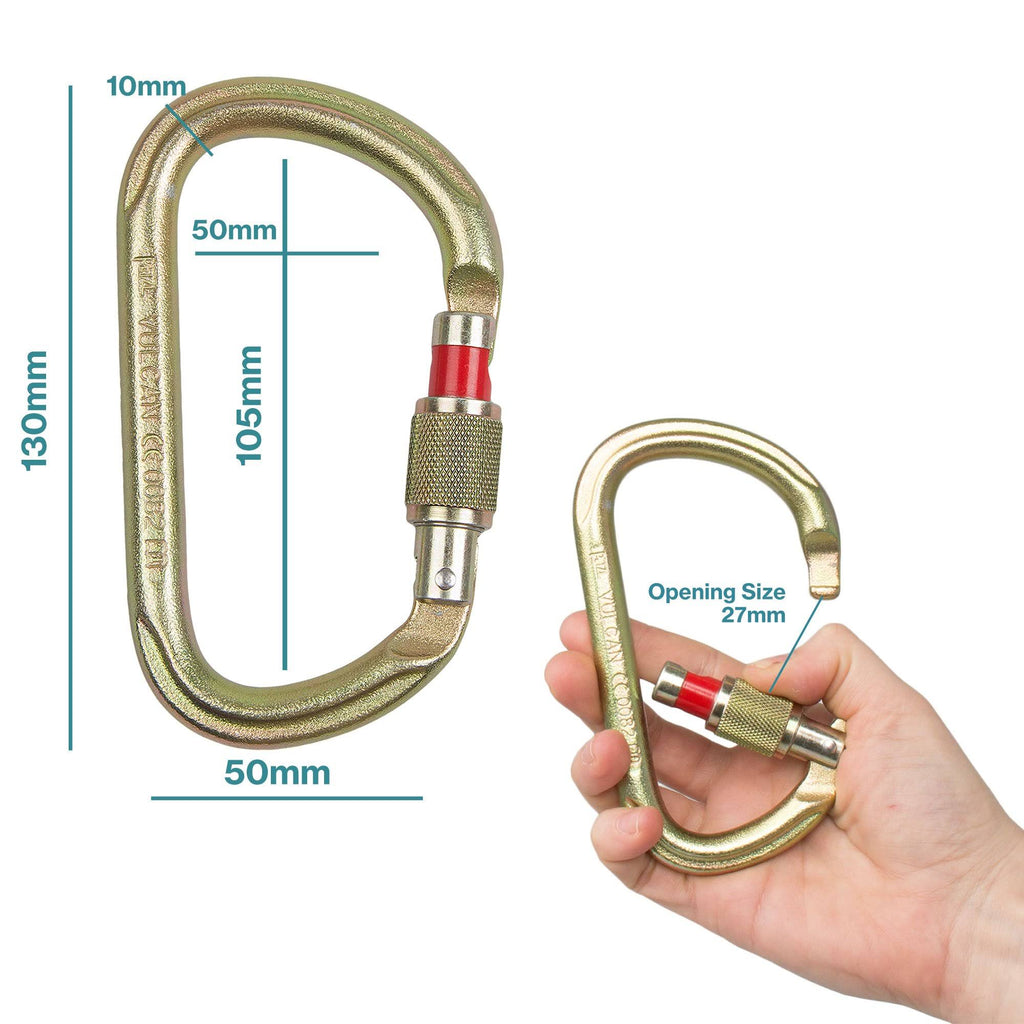 Screw Lock Carabiner X80826