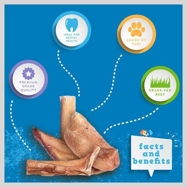 Bully Sticks Dog Treats X66434