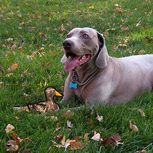 Dog Toy C237