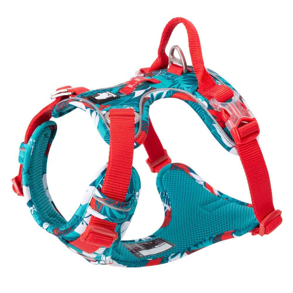 No Pull Dog Harness with Quick-Release Neck Strap H140