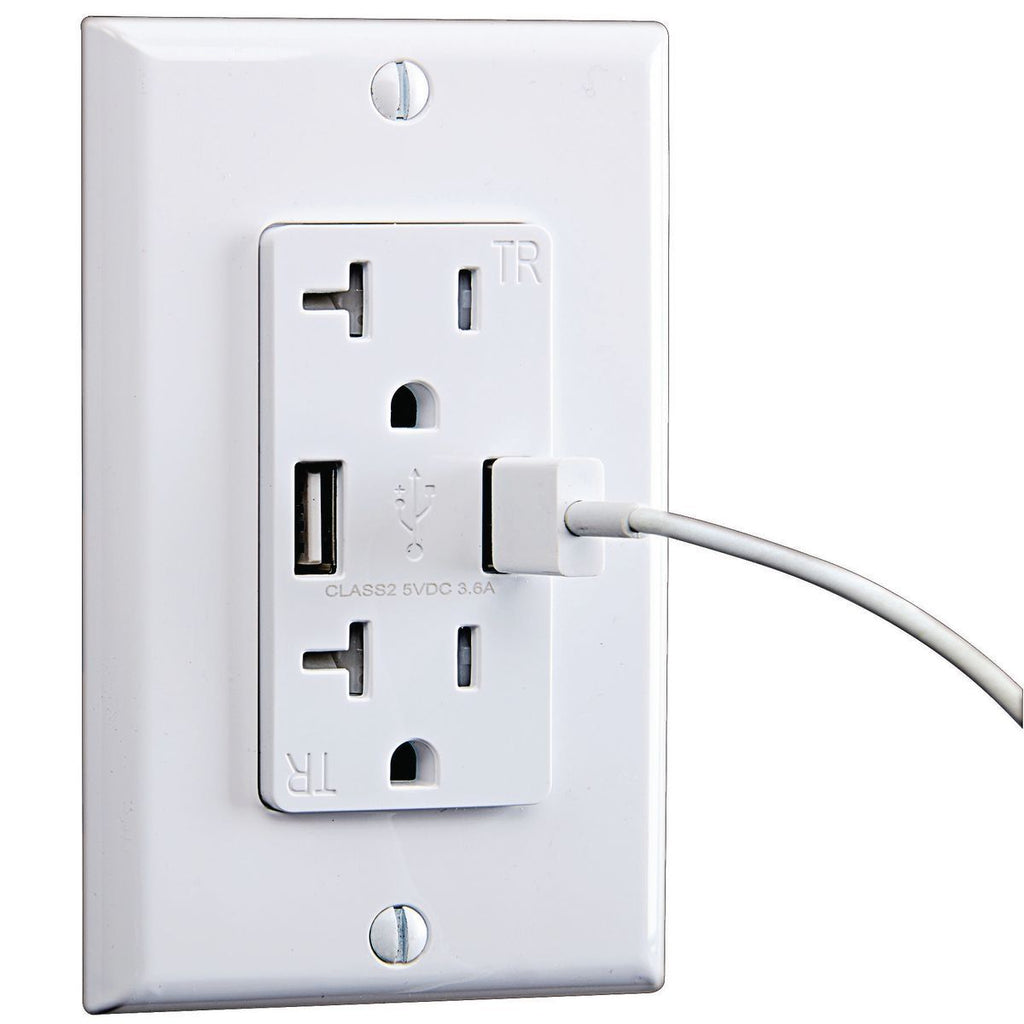 20 Amp 125v 2 USB Rapid Charging Outlet M48899