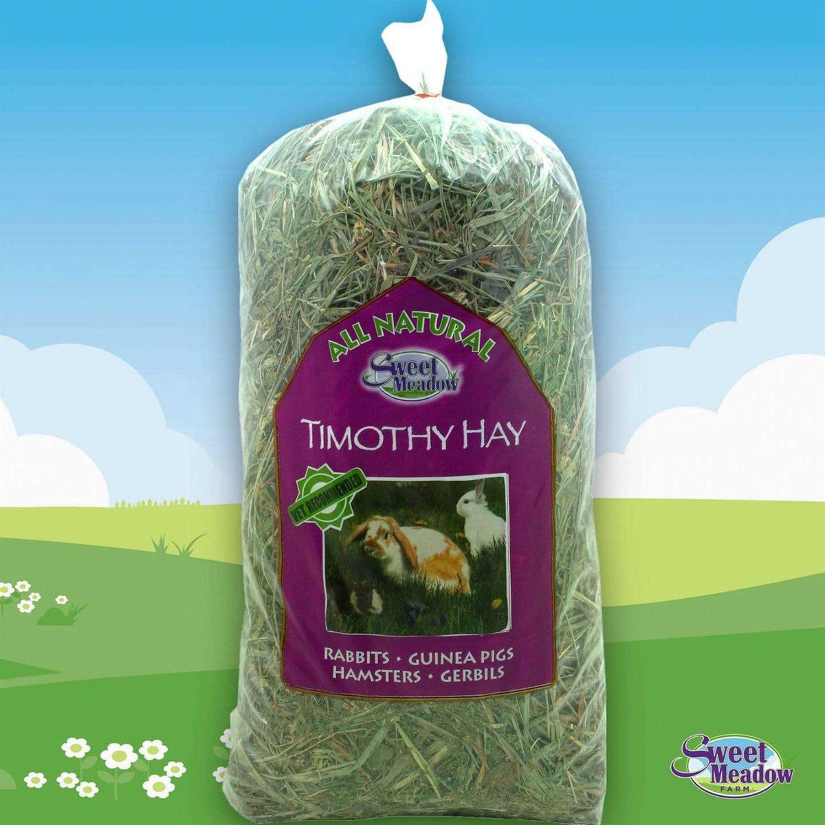 Timothy Hay W1170
