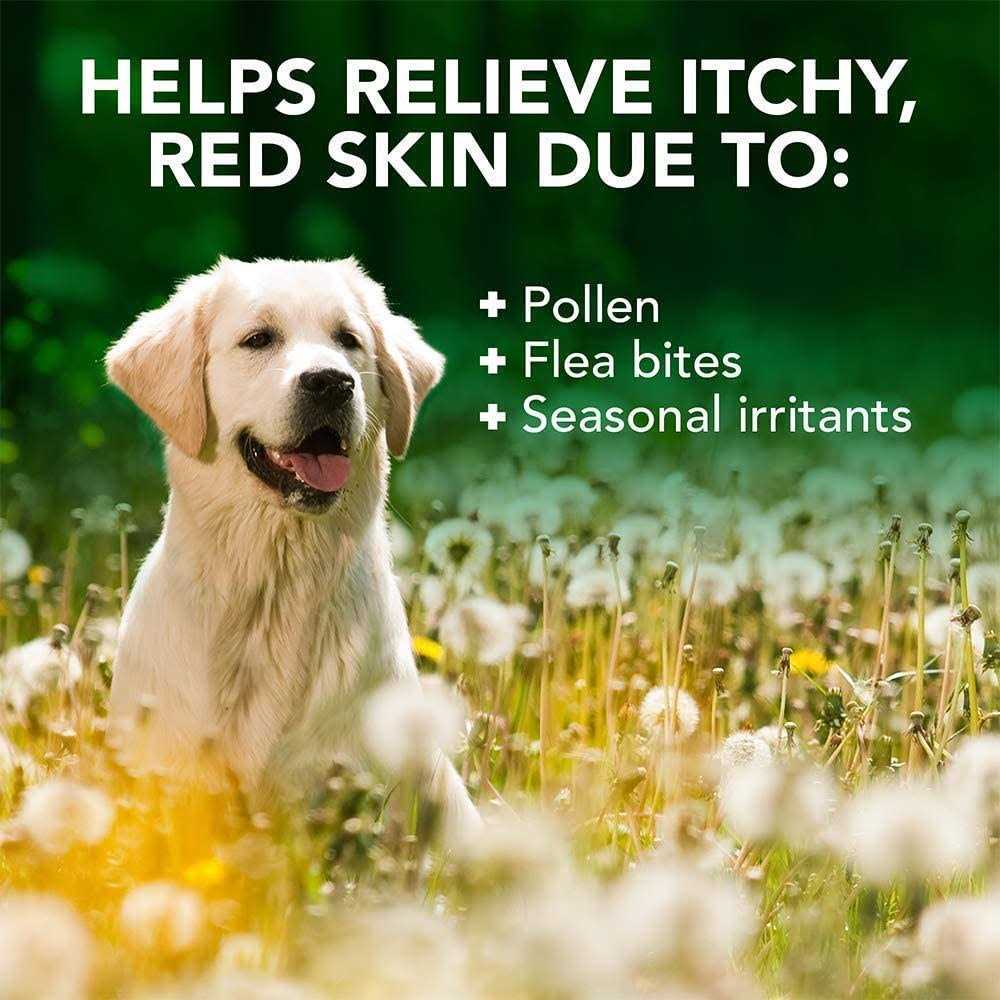 Allergy Itch Relief Shampoo K652