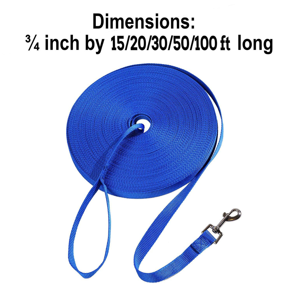Dog Training Leash C45077