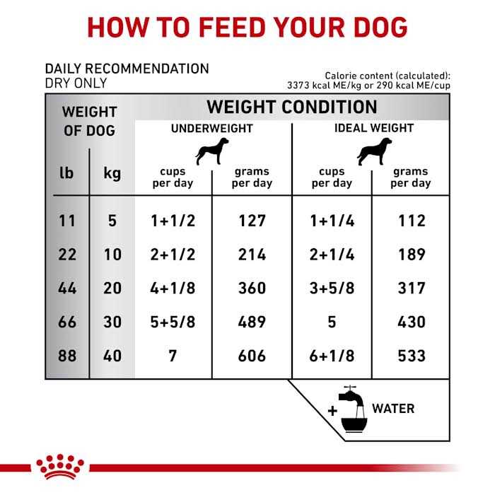 Veterinary Diet Gastrointestinal Fiber Response Dry Dog Food I3091