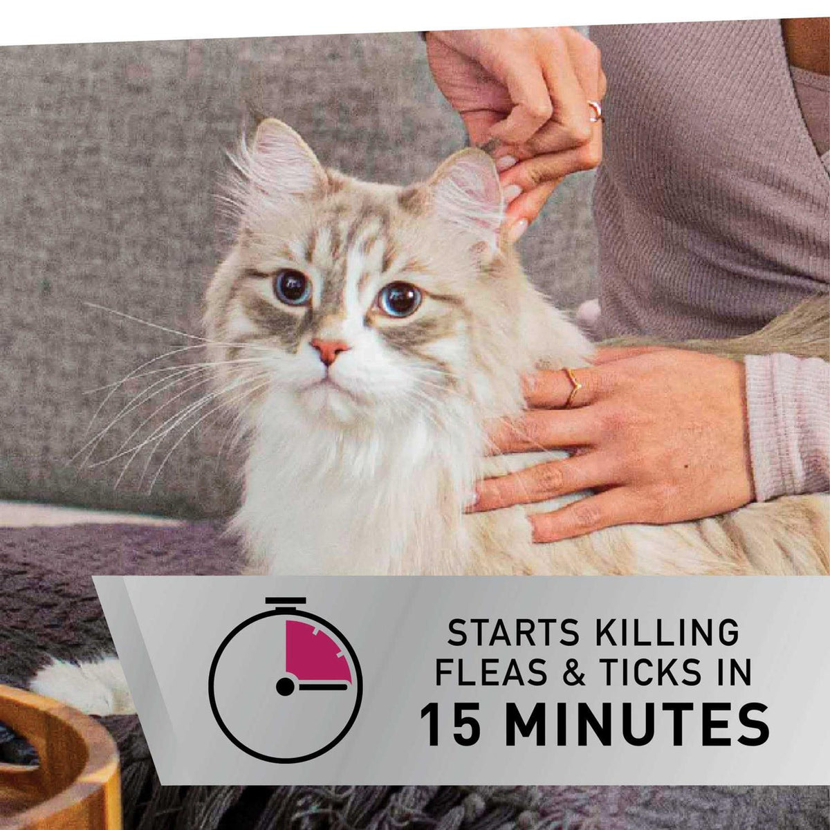 Flea and Tick Topical for Cats N453866
