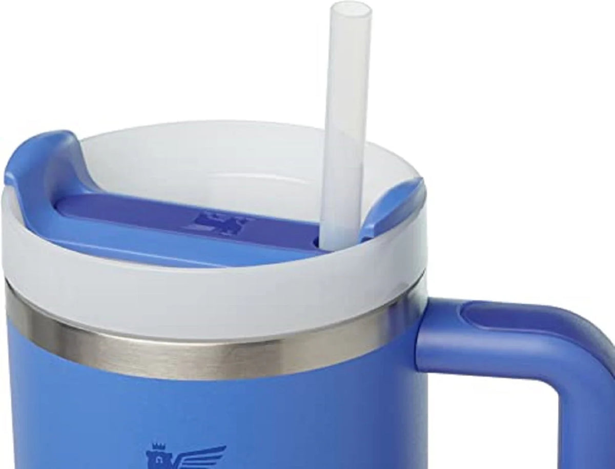 Stainless Steel Vacuum Insulated Tumbler with Lid and Straw H94254