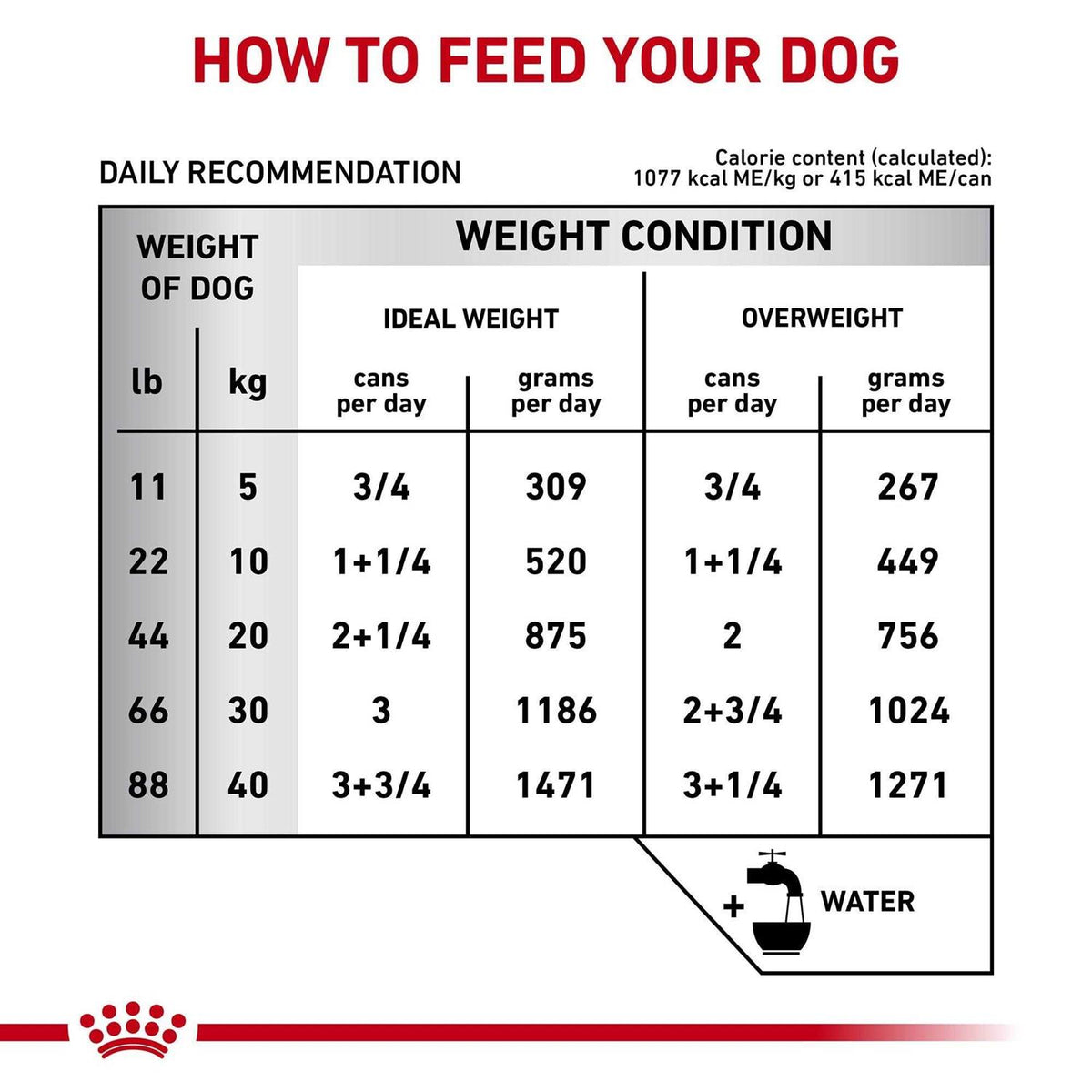 Gastrointestinal Loaf Canned Dog Food D5846