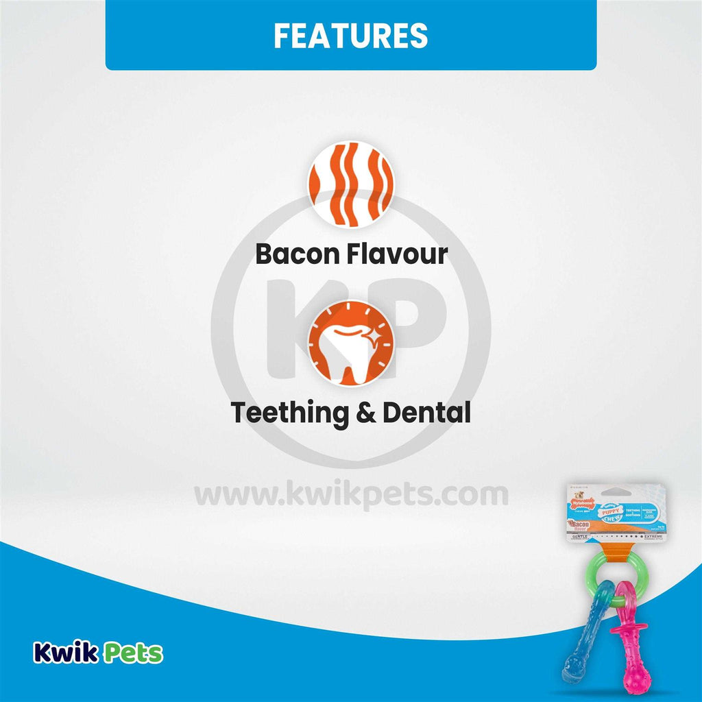 Puppy Chew Teething Pacifier R79526