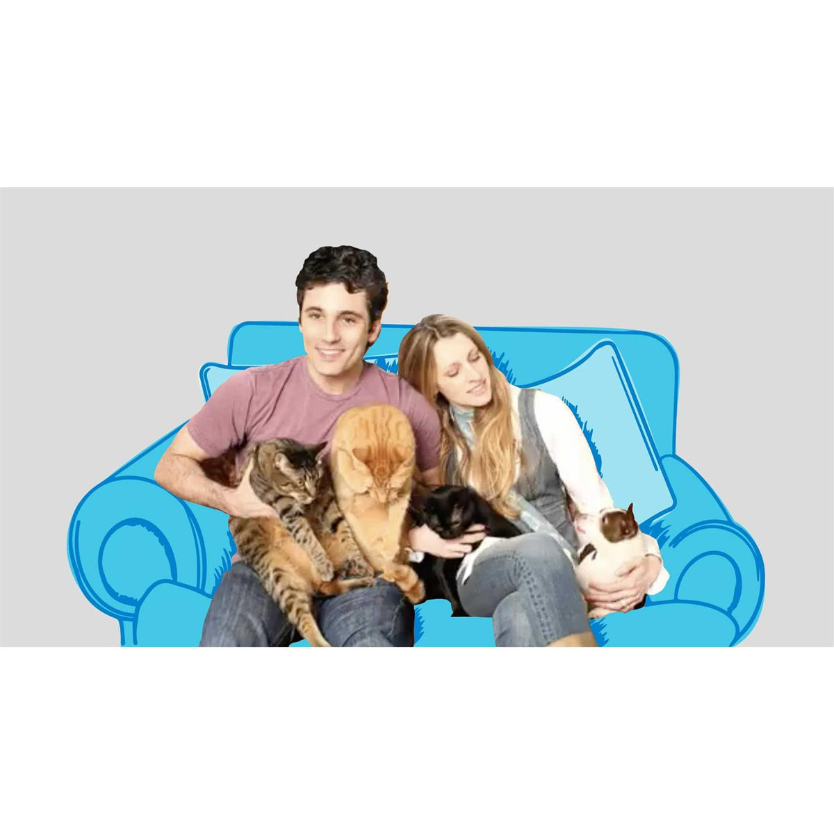 Chicken Wet Cat Food V939808