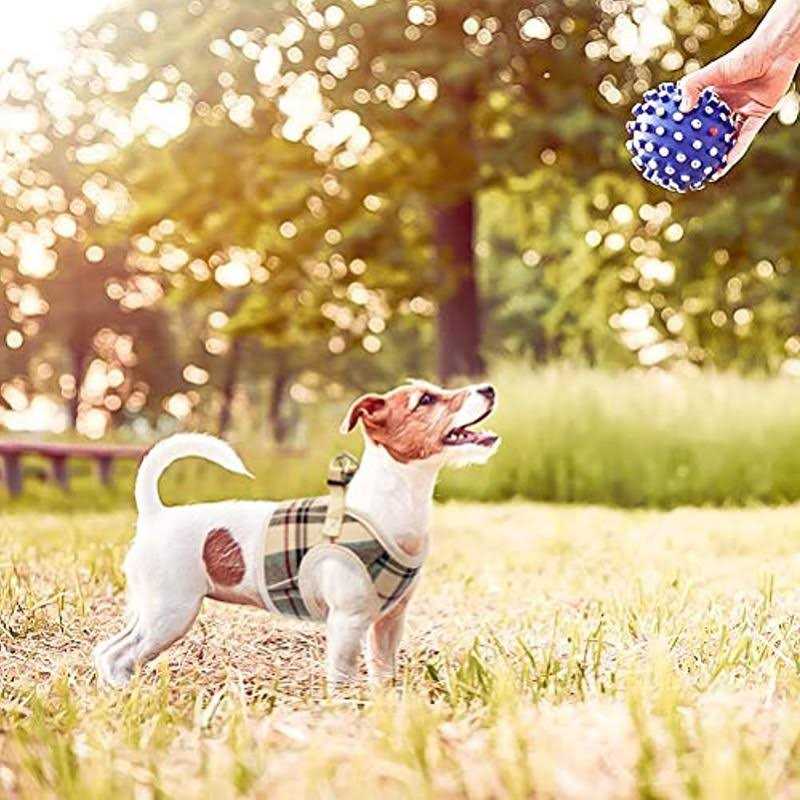Soft Mesh Padded Dog Harness Q681593