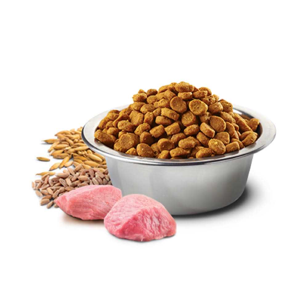 Chicken & Pomegranate Adult Dry Cat Food Q74813