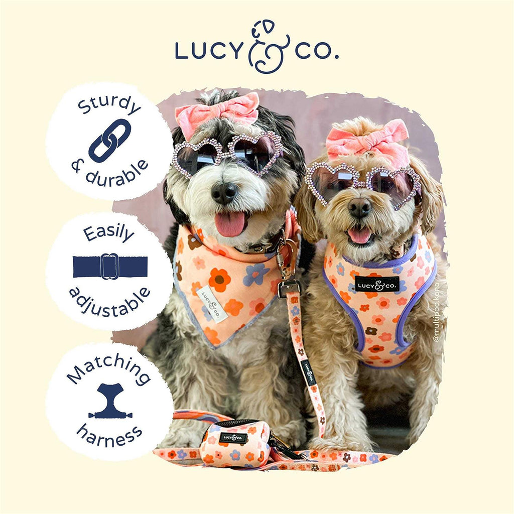Adjustable Dog Collar O8125