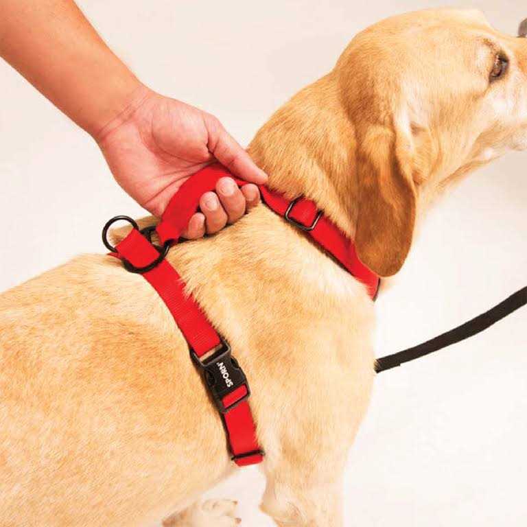 Ultimate Control Harness O153252