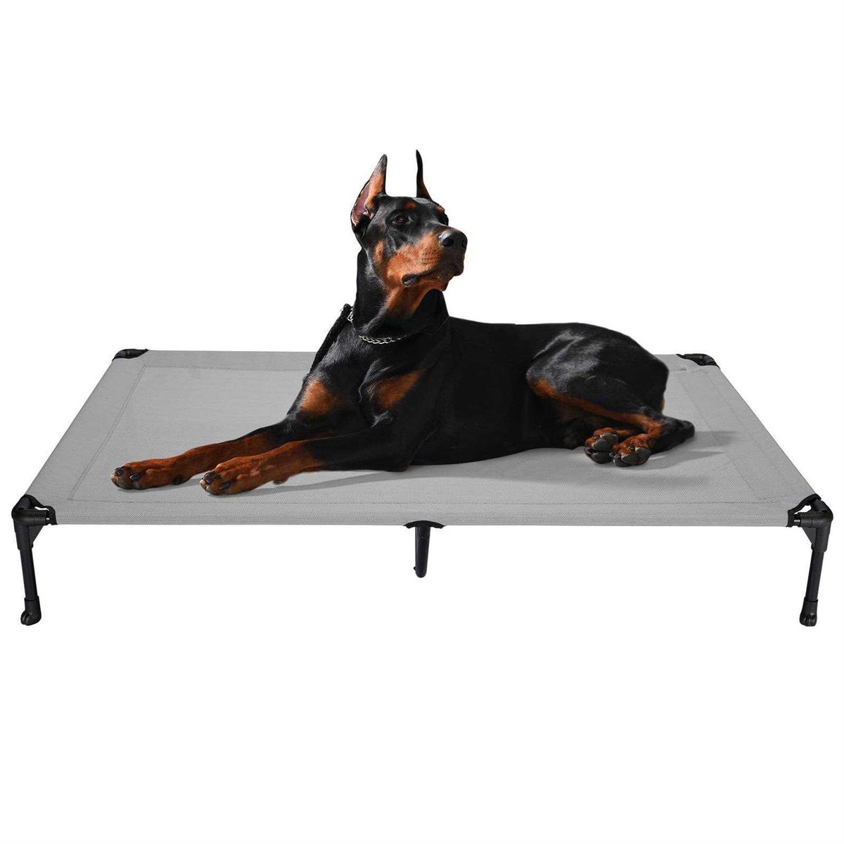 Elevated Dog Bed with Washable Mesh V4359