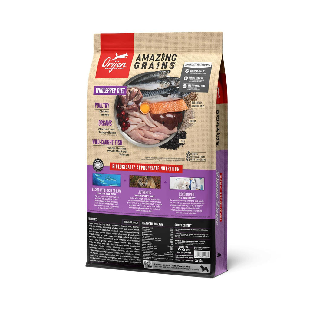 Large Breed Puppy Dry Dog Food N172