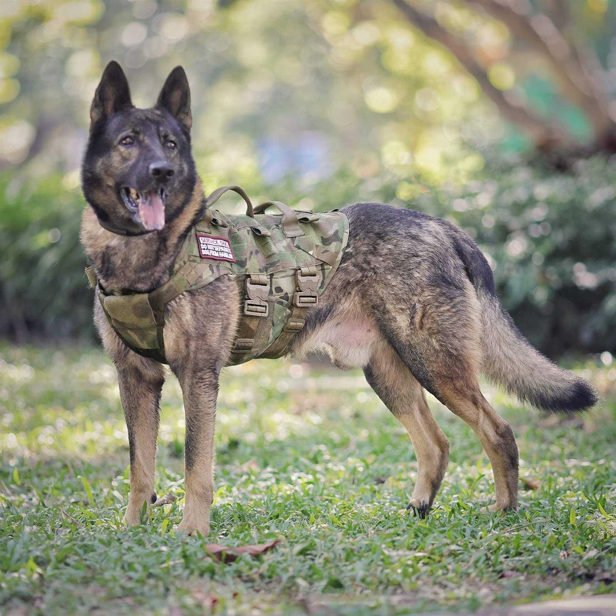 Tactical Dog Harness Adjustable Padded MOLLE Vest V88642