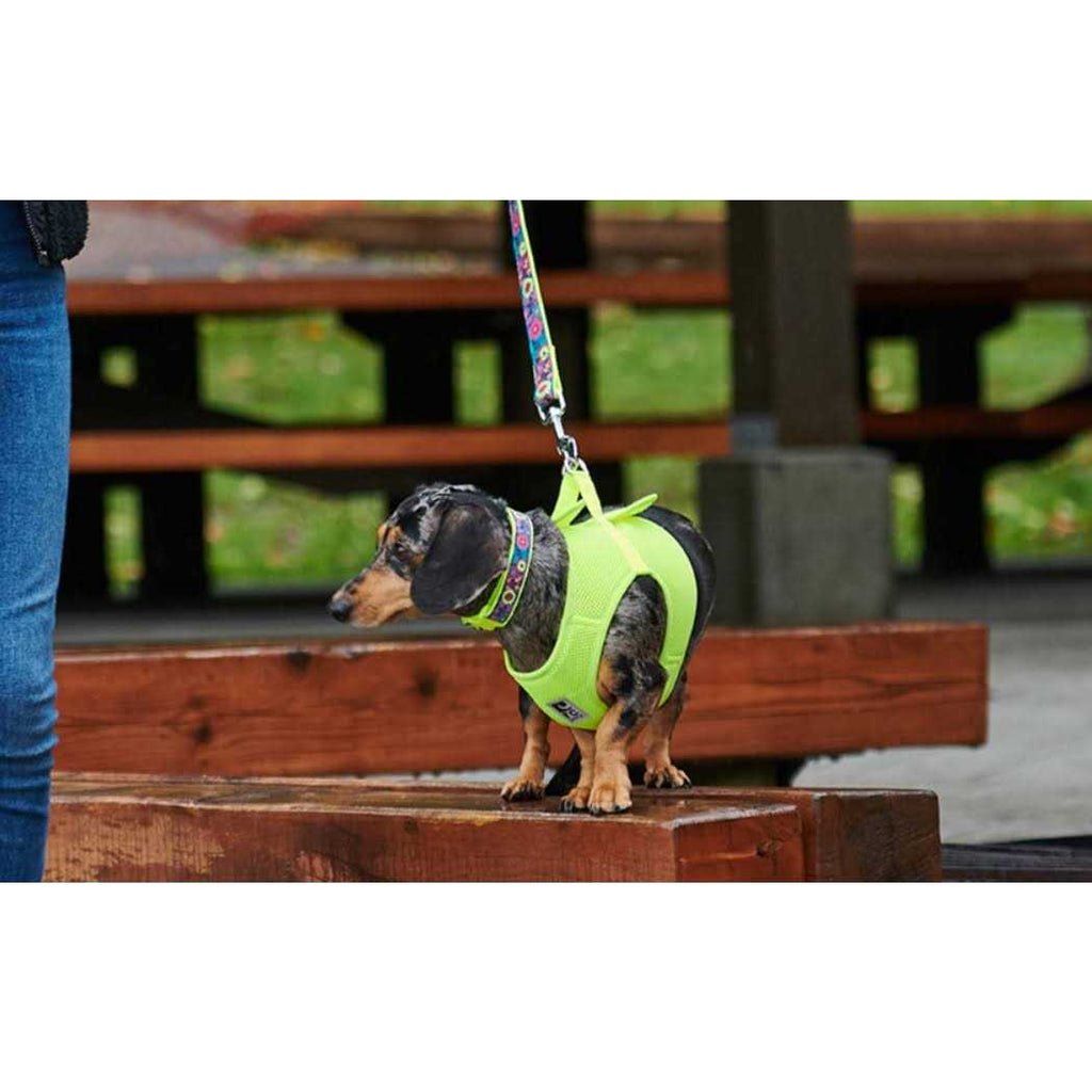 Step in Dog Harness H305977