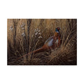 Pheasant in The Grass Art X1543