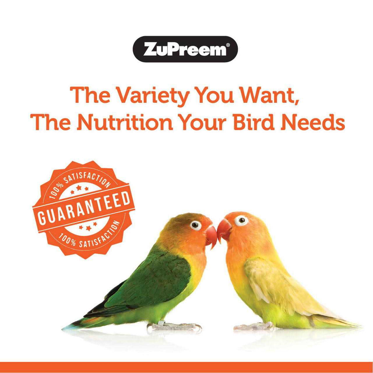 PastaBlend Food for Medium Birds R7570