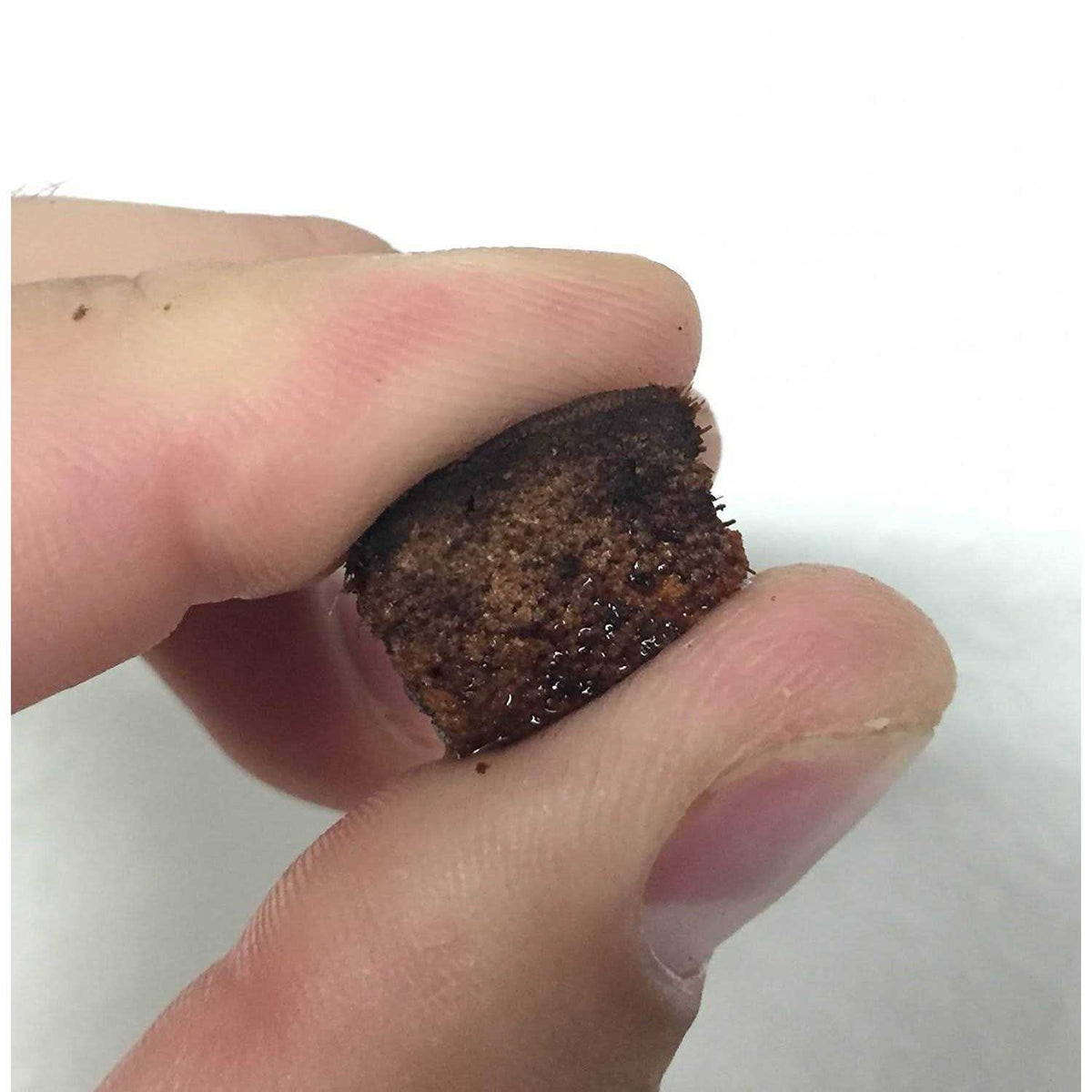 Coarse Coconut Husk Reptile Bedding Z180