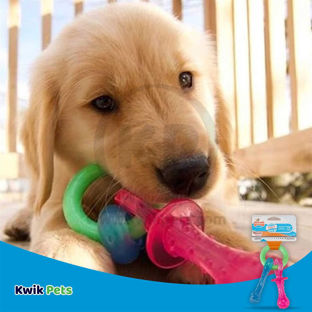 Puppy Chew Teething Pacifier R79526