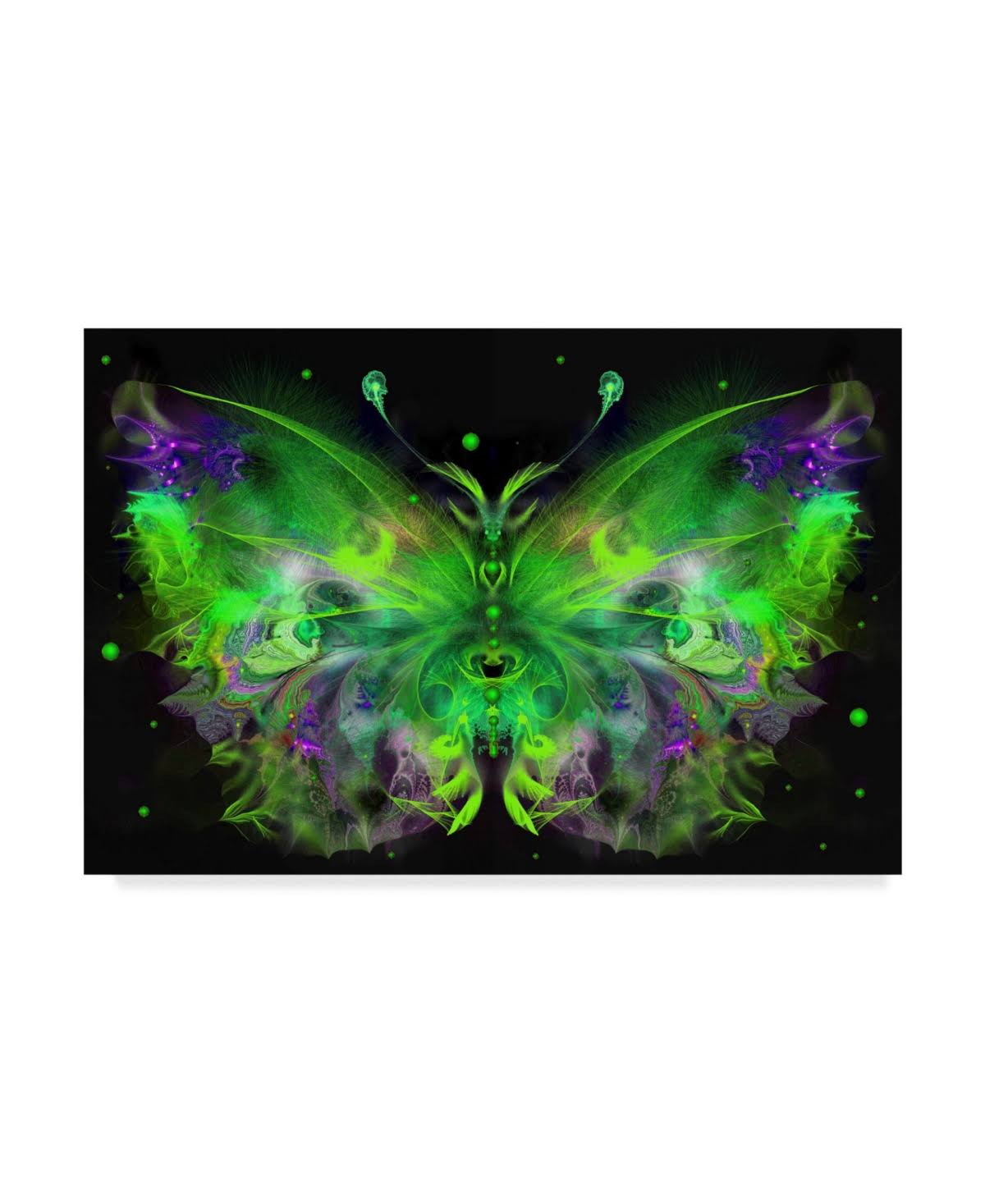 Canvas Art K12624