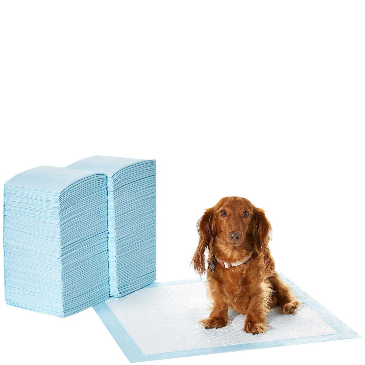 Dog and Puppy Pee Pads with Leak-Proof Quick-Dry Surface U4319
