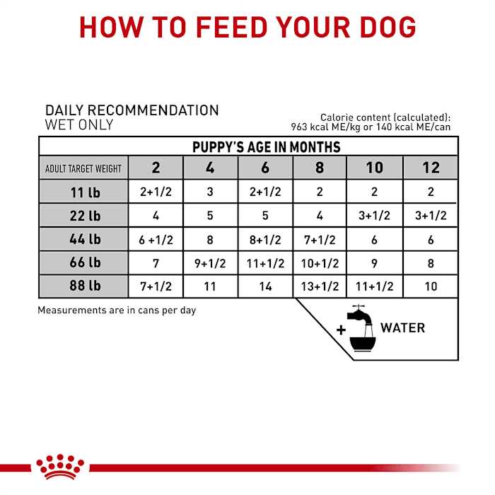 Canned Dog Food B114