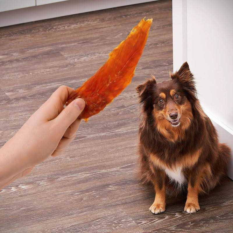 Chicken Jerky Dog Treats O55983