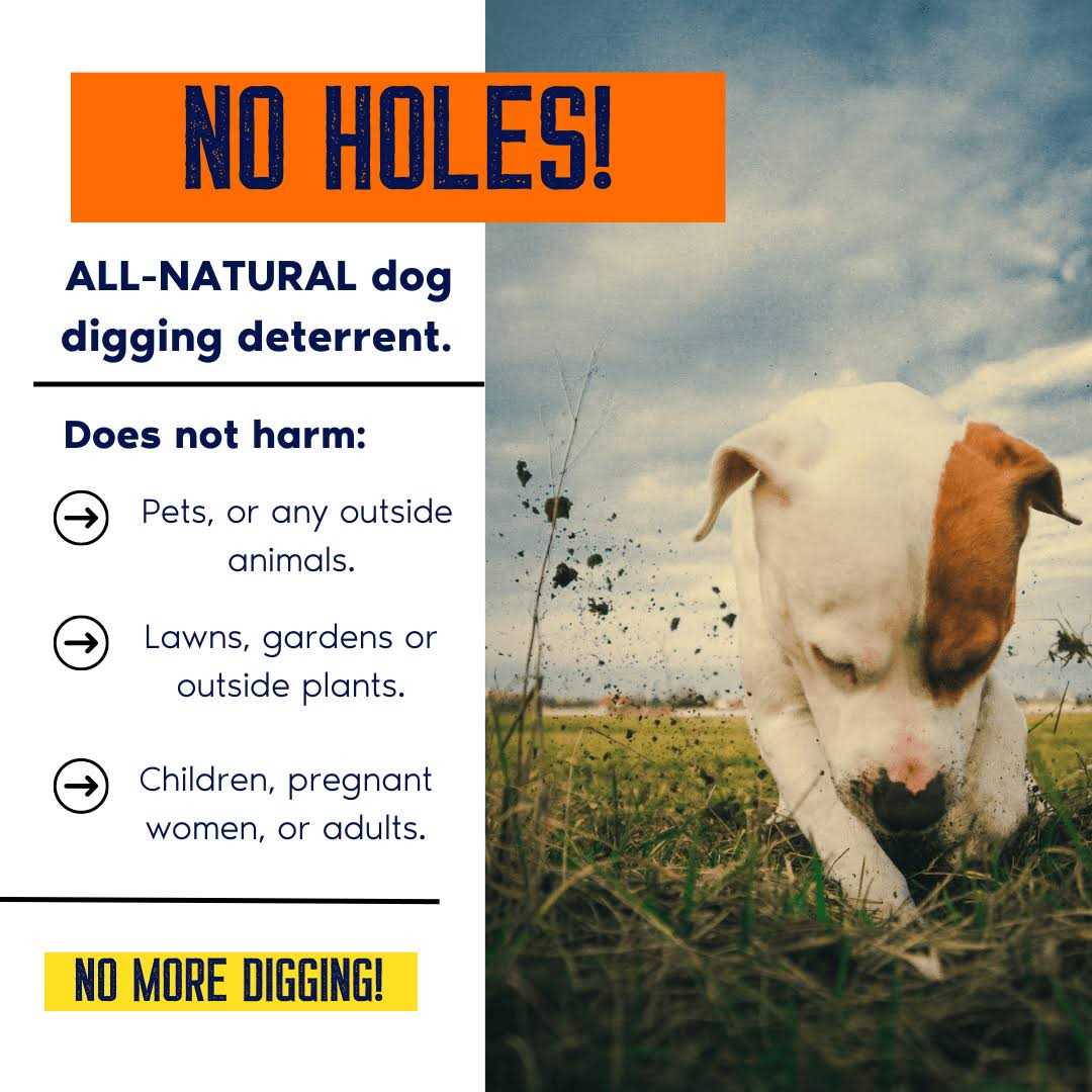 Digging Dog Prevention Concentrate Q443