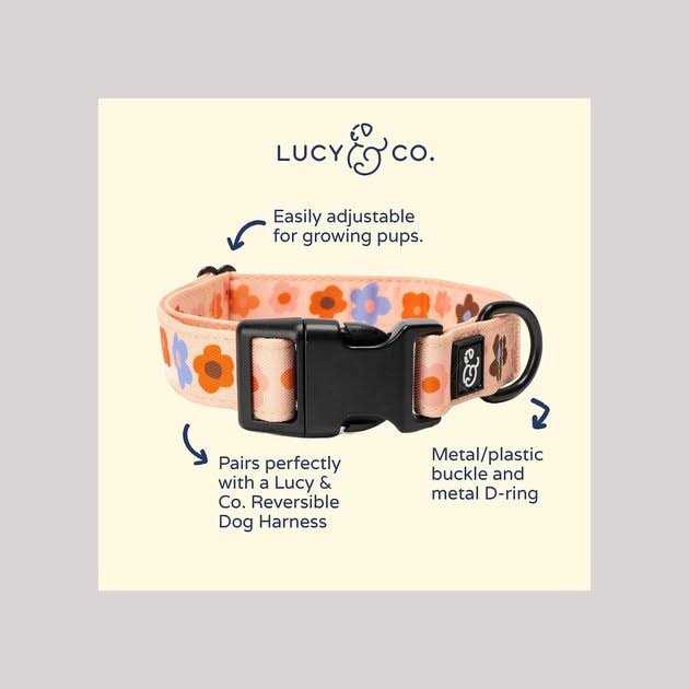 Adjustable Dog Collar O8125