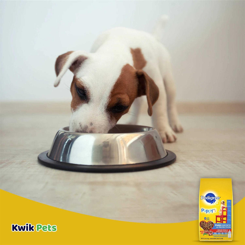Dry Dog Food Vegetable Flavor L60866