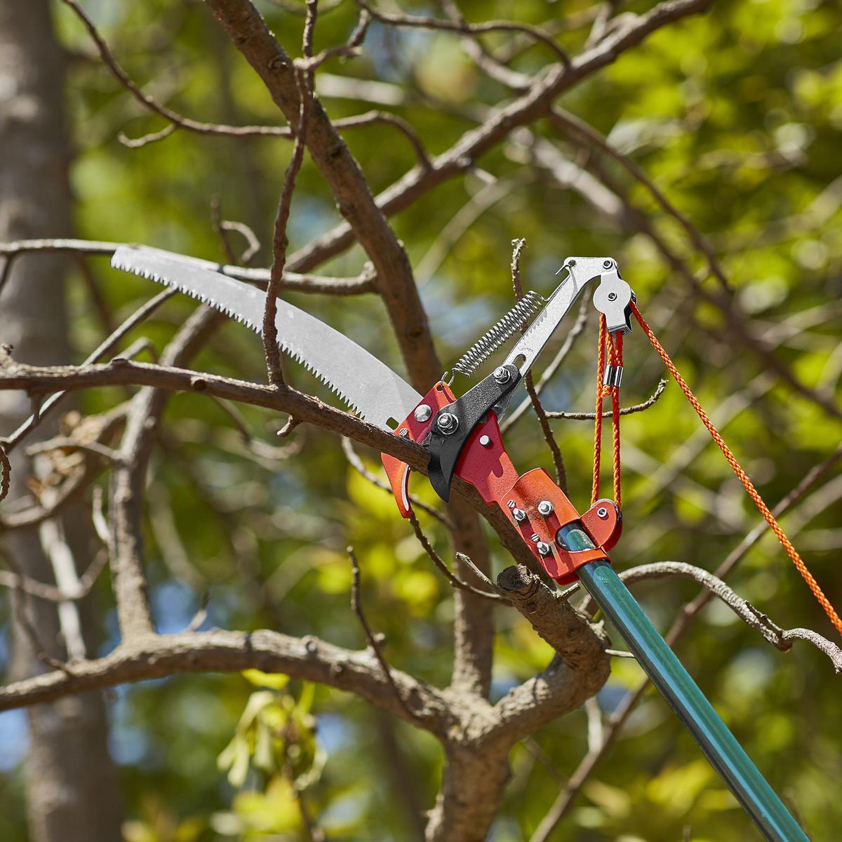 Tree Pruner G974616