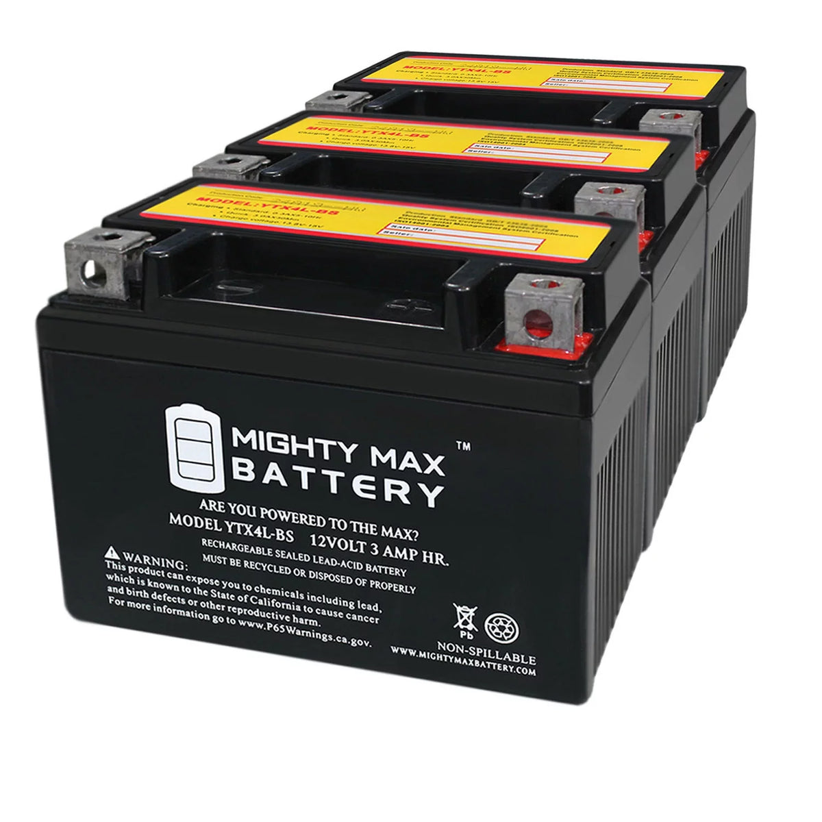 Deep Cycle Battery 3 Pack N6875