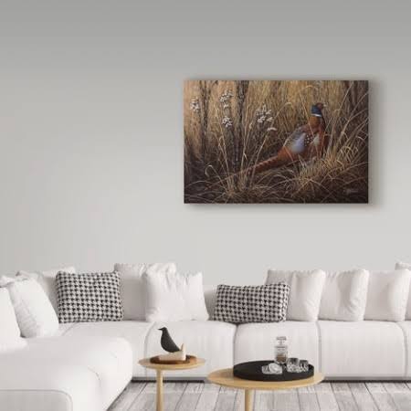 Pheasant in The Grass Art X1543
