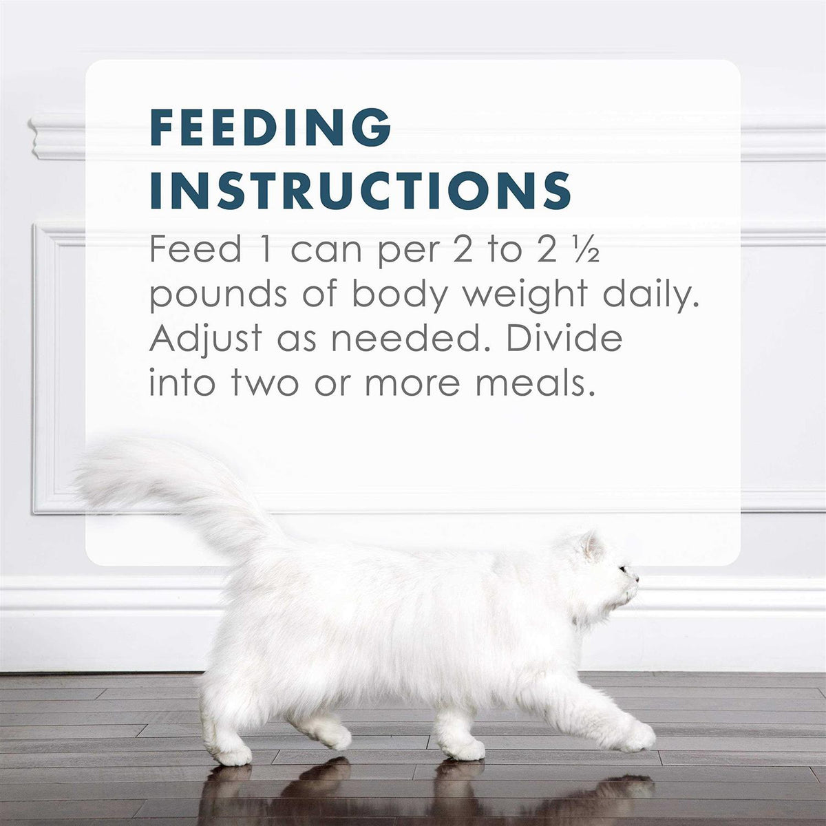 Tuna Recipe in Gravy Wet Cat Food X812310