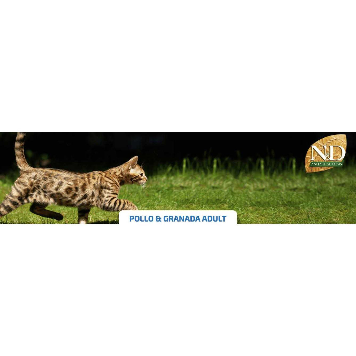 Chicken & Pomegranate Adult Dry Cat Food Q74813