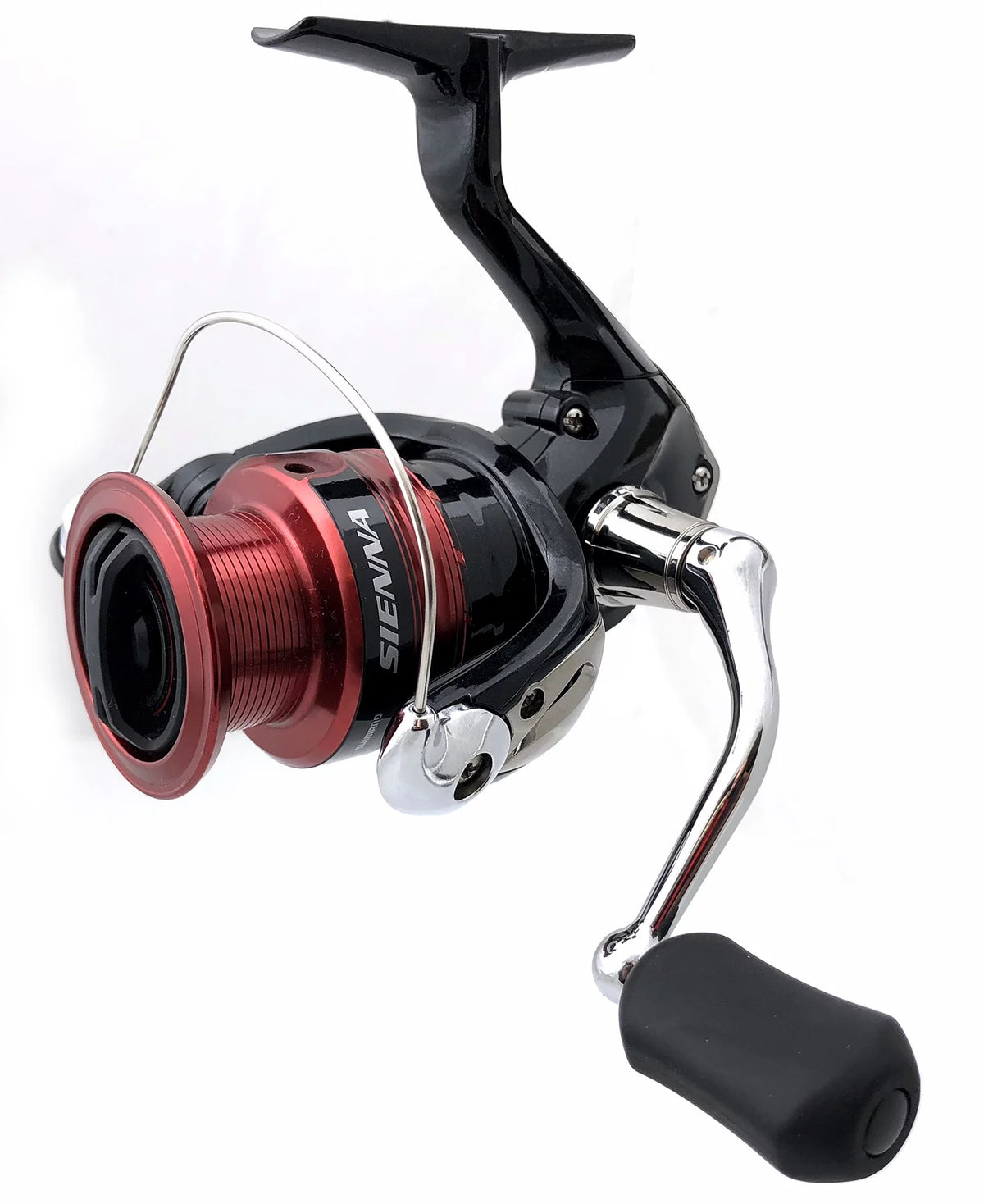 Fishing D600449