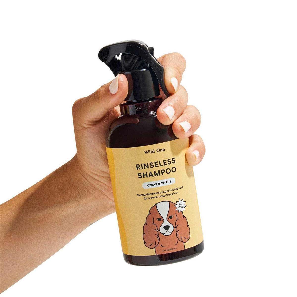 Rinseless Shampoo G77025