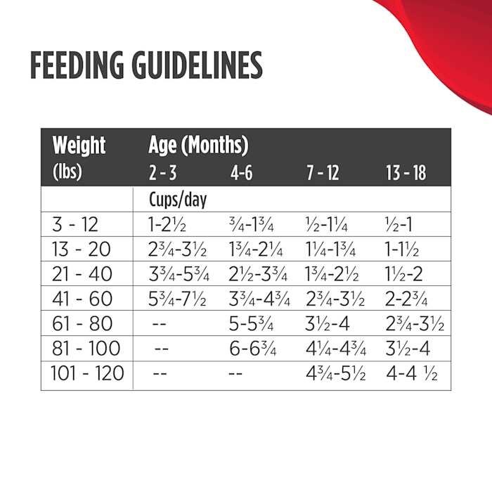 High-Protein Turkey Chicken and Duck Dry Dog Food Z696