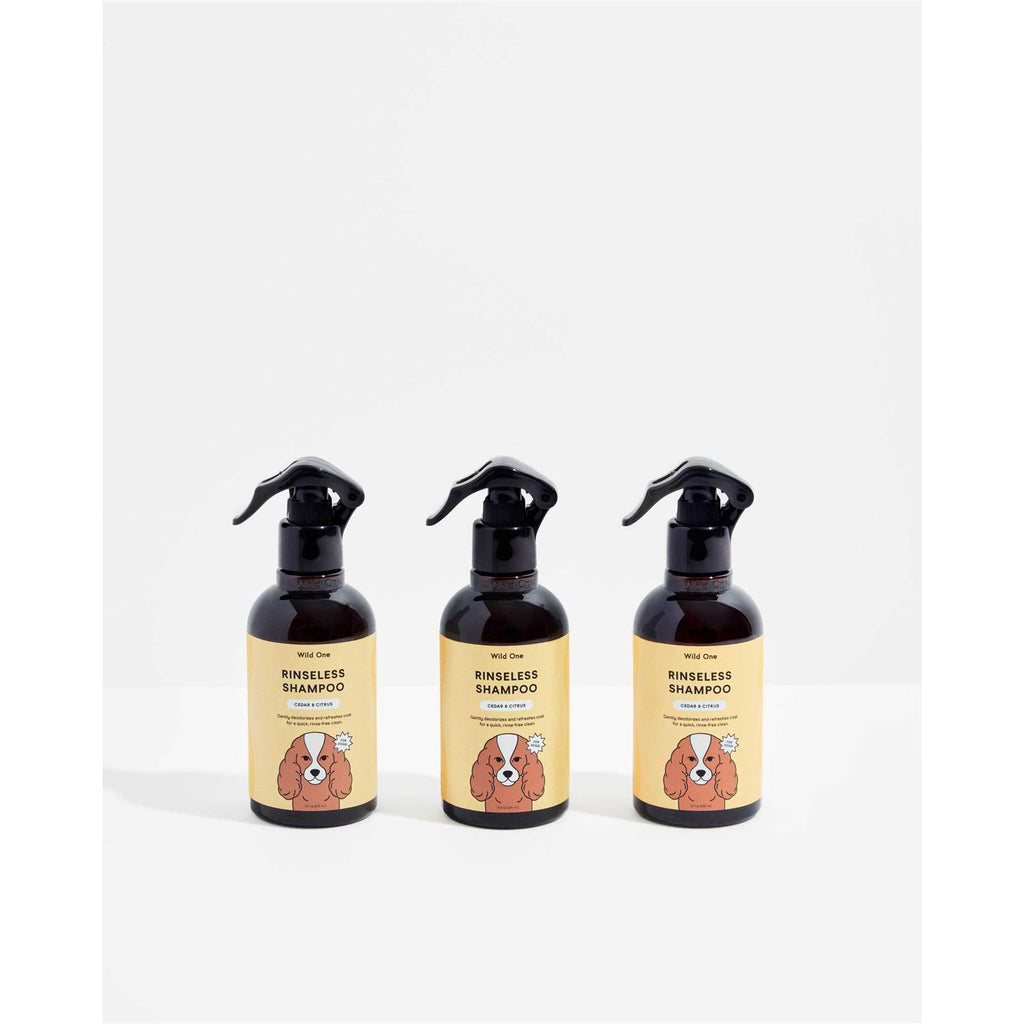 Rinseless Shampoo G77025