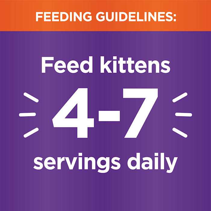 Cat Food X150