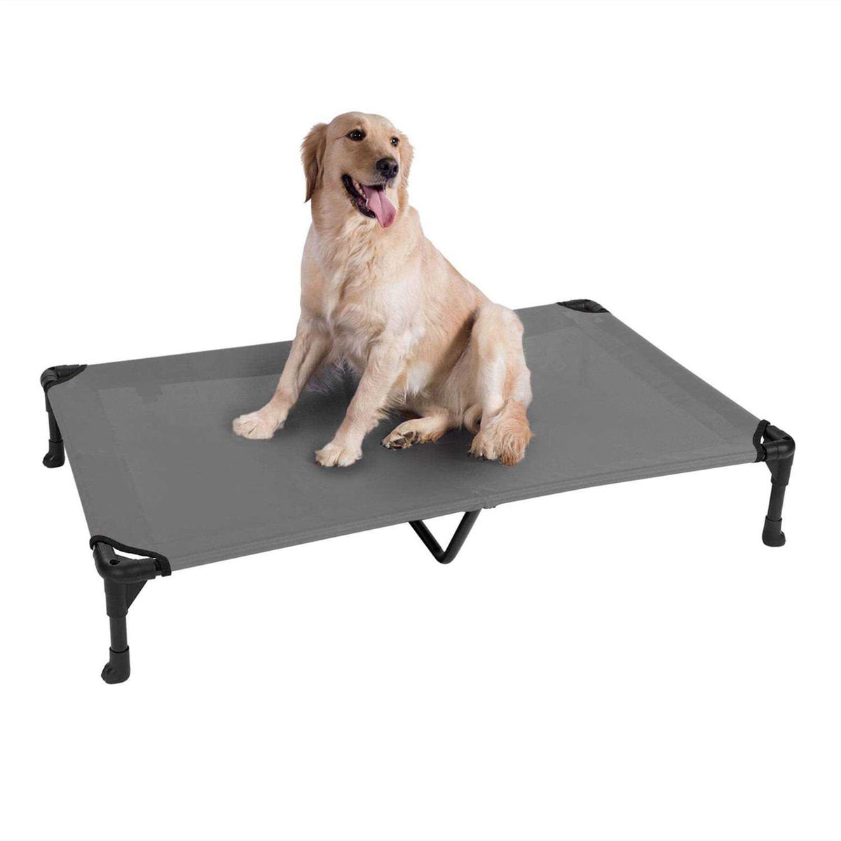 Elevated Dog Bed with Washable Mesh V4359