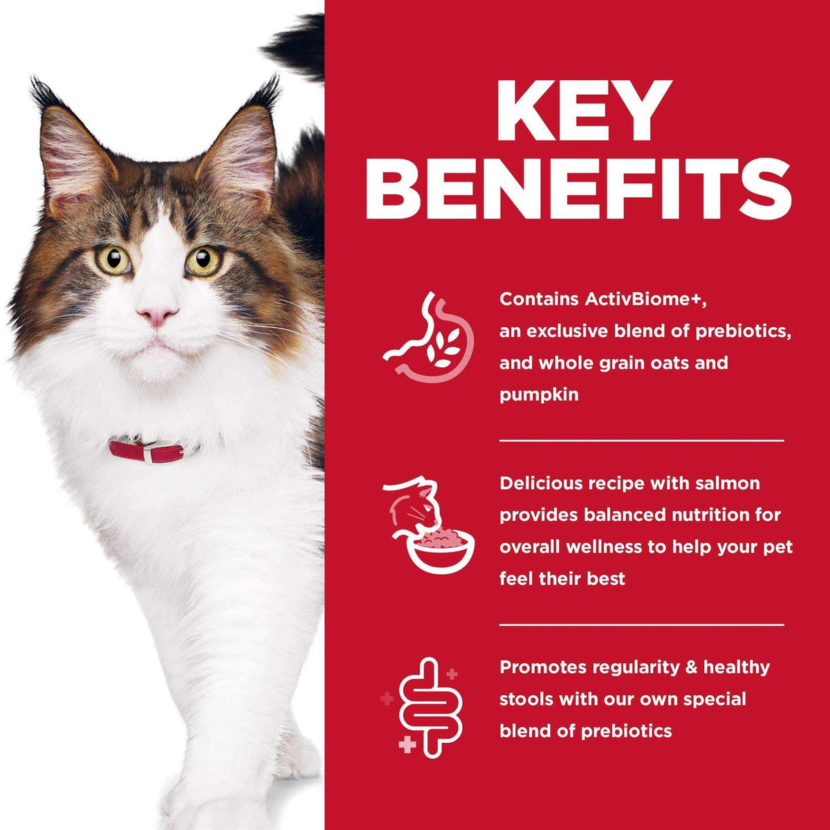 Adult Cat Dry Food Salmon D292898